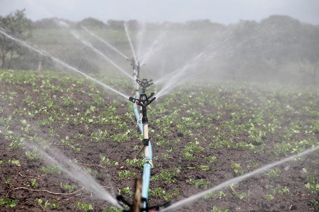 Smart Irrigation Systems: Guida Completa all’Efficienza Idrica Intelligente