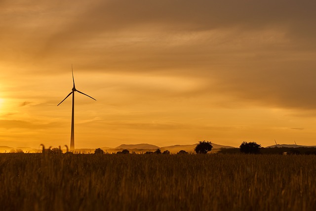 Migliori materiali eco-friendly per l’arredamento: guida completa alla sostenibilità domestica